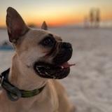 Matilda avatar
