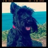 Summer avatar