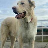 Zeus avatar