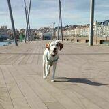Oddie avatar