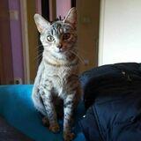 Lia avatar