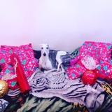 Xana avatar