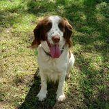 Jara avatar