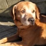Toby  avatar