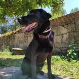 Toby avatar