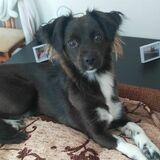 Coco avatar