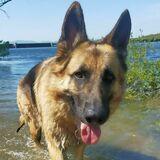 Apolo avatar