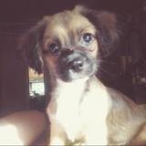 Mika avatar