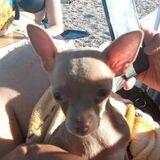 ARES  avatar