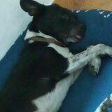 Paco😂 avatar