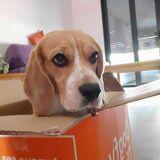 Lola avatar