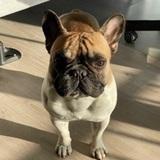 Coco avatar