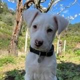 Audrey avatar