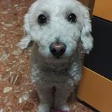 Aika avatar