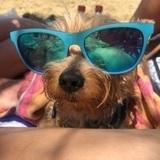 Woody avatar
