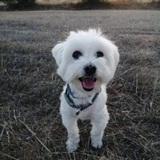 Cloe avatar