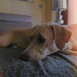 Cleo avatar