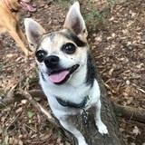 Gus avatar
