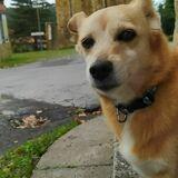 Sacha avatar