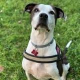 Lola avatar