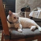 Borrascas avatar