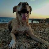 Noa avatar