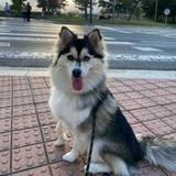 Sara avatar