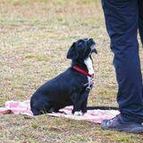 Oddie avatar