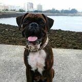 Kiara avatar