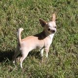 Bimba  avatar
