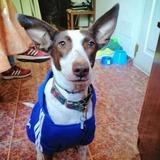 Kofy avatar