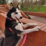 Zeus  avatar