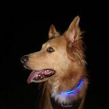 Kaixo avatar
