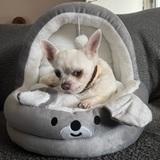 Yari avatar