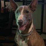 Terri  avatar