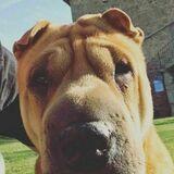 Hanna avatar