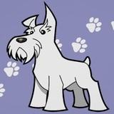 Nieve avatar