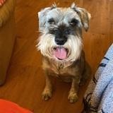 Kika avatar