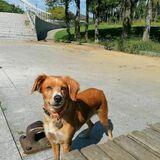 Estrella avatar