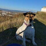 Mia  avatar