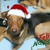 Cleo avatar