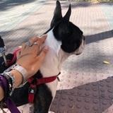 Caos avatar