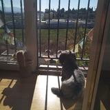 Peque avatar
