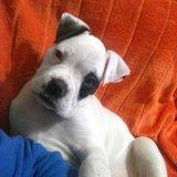 Lana avatar