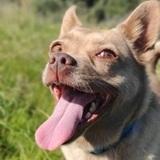 Lúa avatar