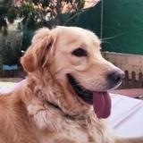 Max avatar