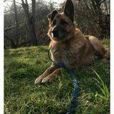 Tedin avatar