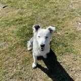Mika avatar