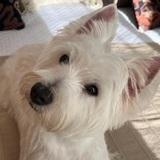 Danna avatar