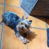 Minnie avatar